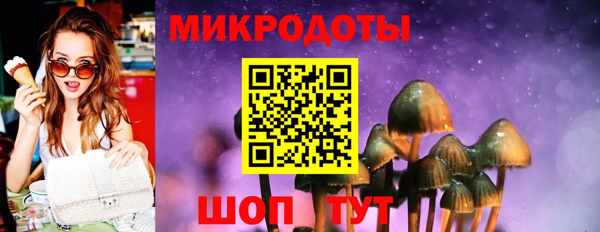 Галлюциногенные грибы Psilocybine cubensis Мариинск